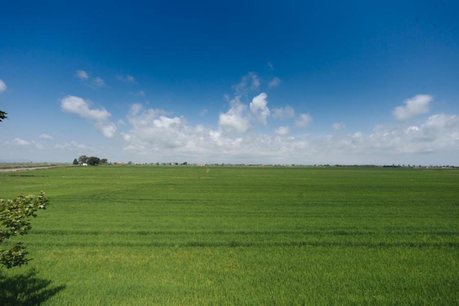 L'Eucaliptus Salicornia Apartament מראה חיצוני תמונה